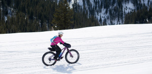 Mesa Falls Fat Biking